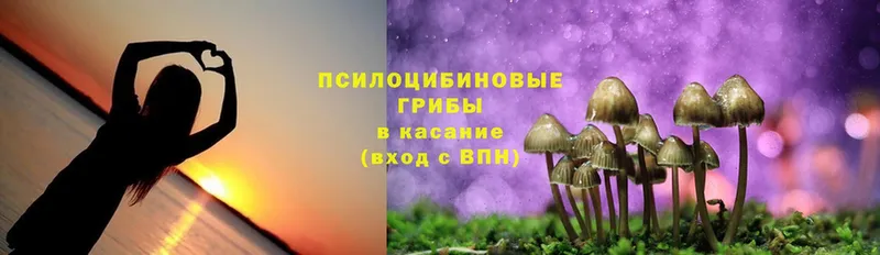 Галлюциногенные грибы Cubensis  купить наркотик  ОМГ ОМГ как зайти  Белогорск 